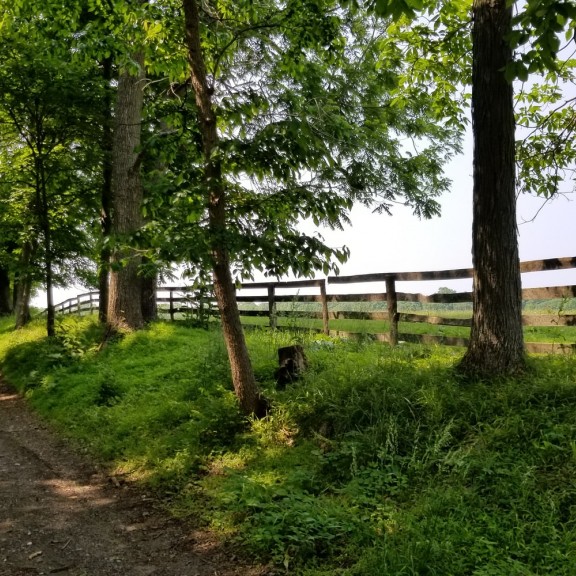 Dirt road next to a farm in Pennsylvania