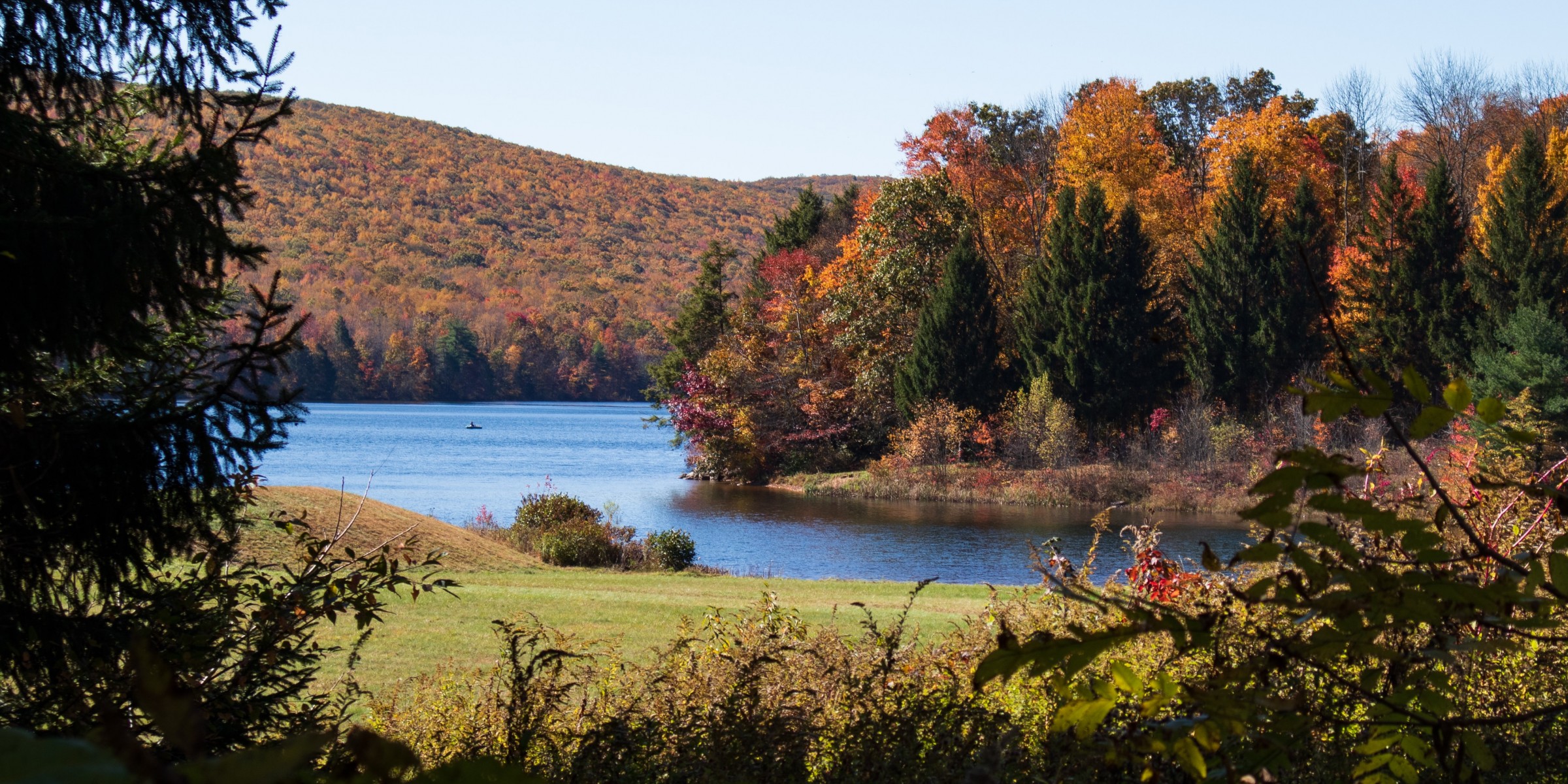 Autumn Trees by a lake in rural Pennsylvania 